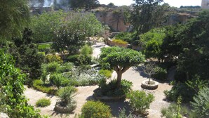 A garden with various plants and a central tree.