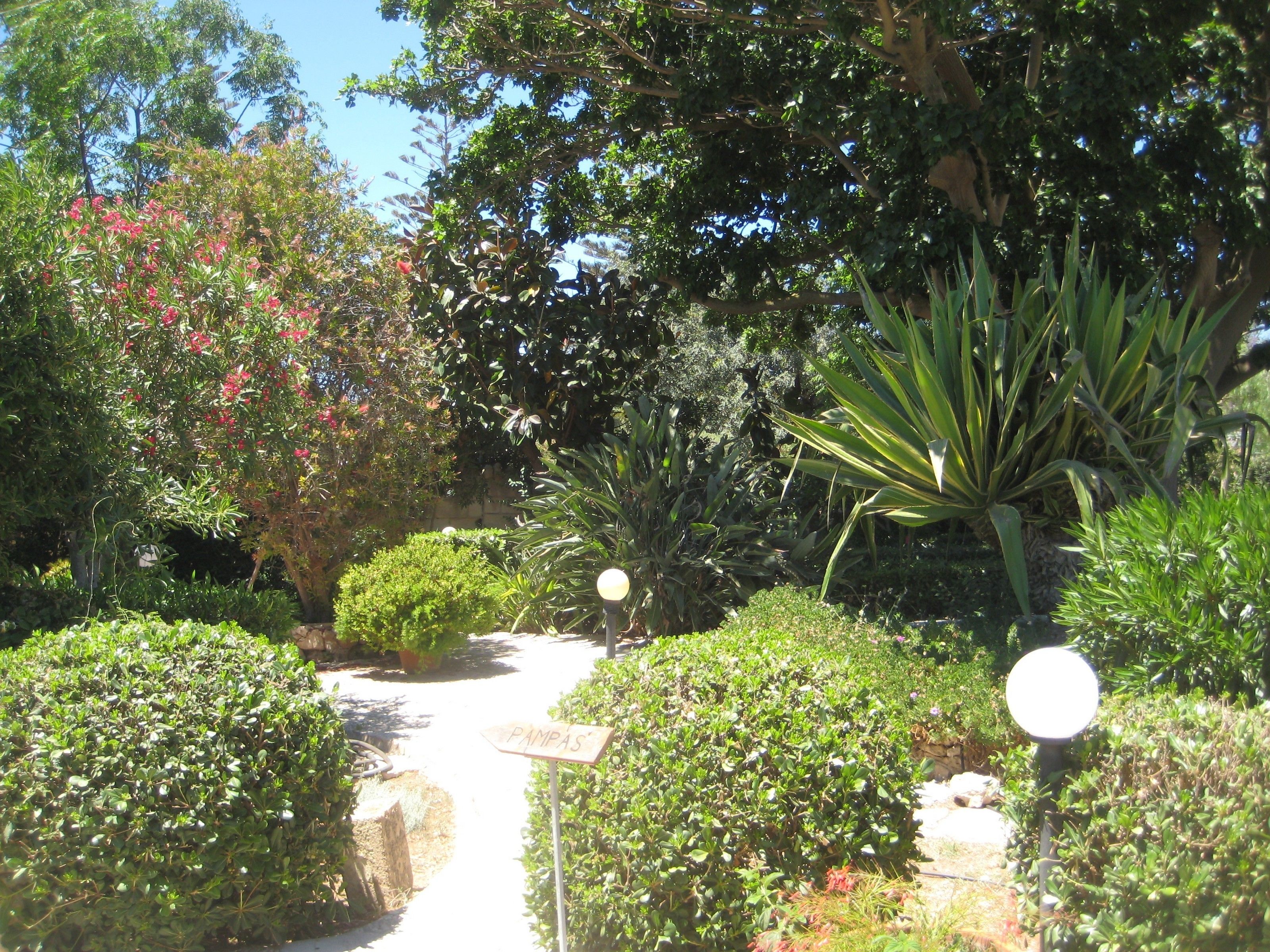 Un sendero en un jardín con diversas plantas y un cartel que dice "PAMPAS".