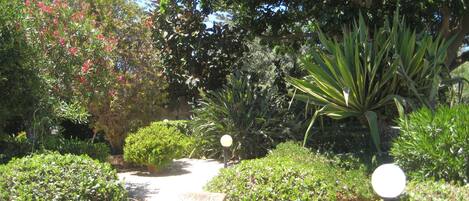 Un sendero en un jardín con diversas plantas y un cartel que dice "PAMPAS".