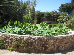 A stone wall with water lilies in a garden setting.