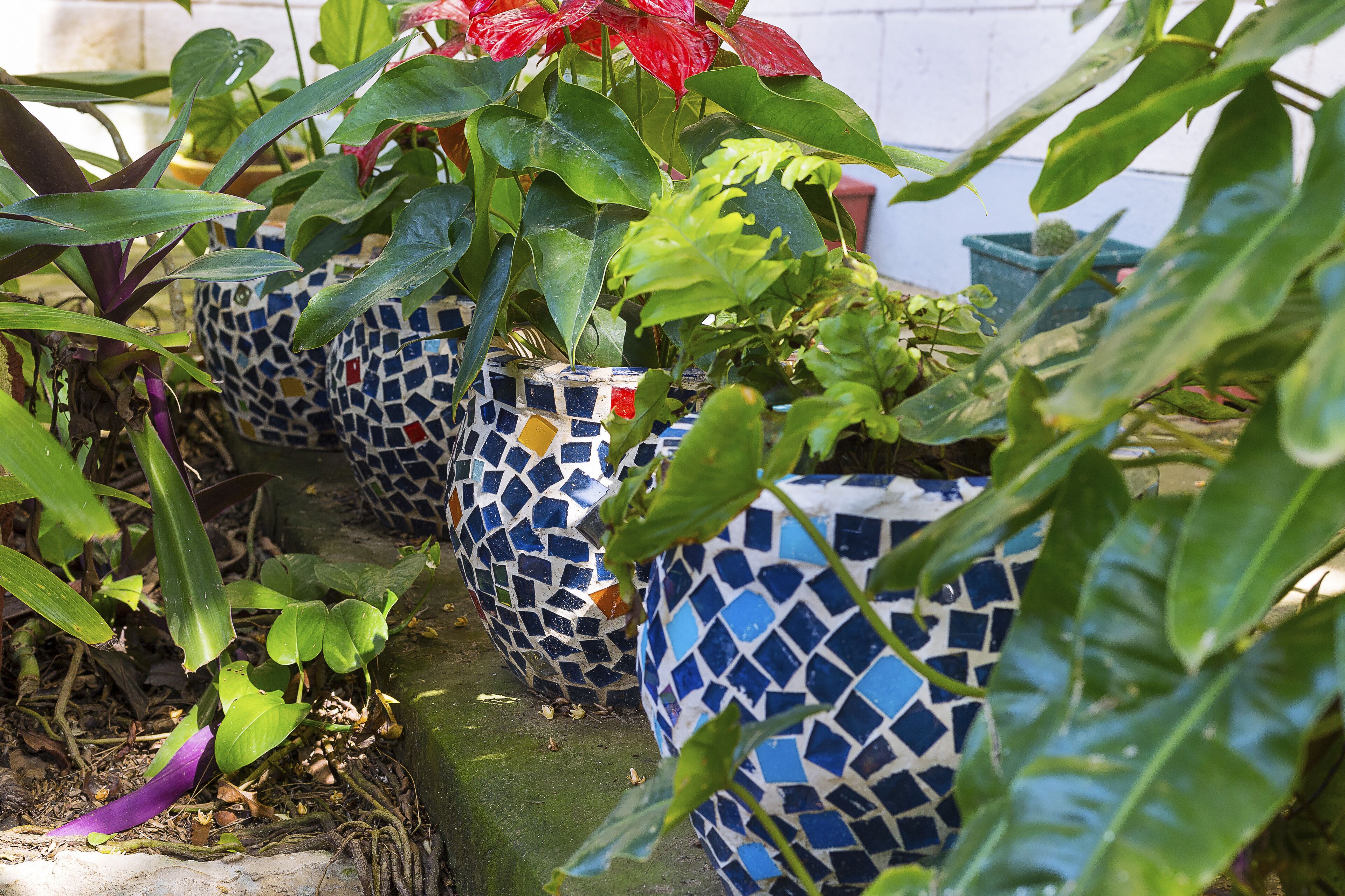 A row of potted plants with mosaic-patterned pots.