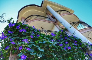 Deluxe Büyük Yataklı Tek Kişilik Oda, 1 Çift Kişilik Yatak, Balkon/Veranda | Şehir manzarası