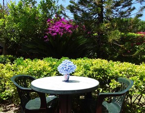 Garden - Hotel Casa Cigliano (Forio)