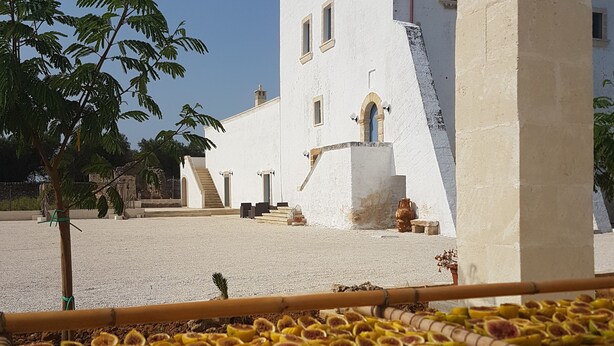 A building with a white facade, a flag on top, and a tree in the foreground. - Antica Masseria Torre Mozza (Mesagne)
