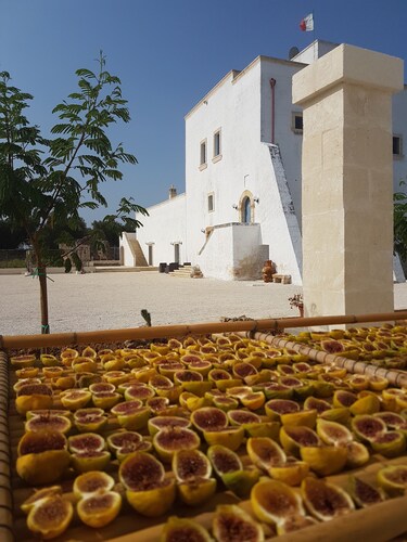 Antica Masseria Torre Mozza