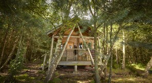 A wooden cabin with a wooden deck and a small porch, surrounded by trees in a forest. - Swinton Bivouac (Ripon)