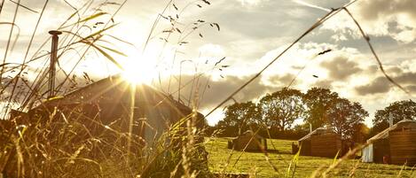 A rural setting with a barn and open fields.