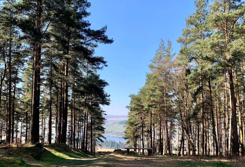 Swinton Bivouac by null