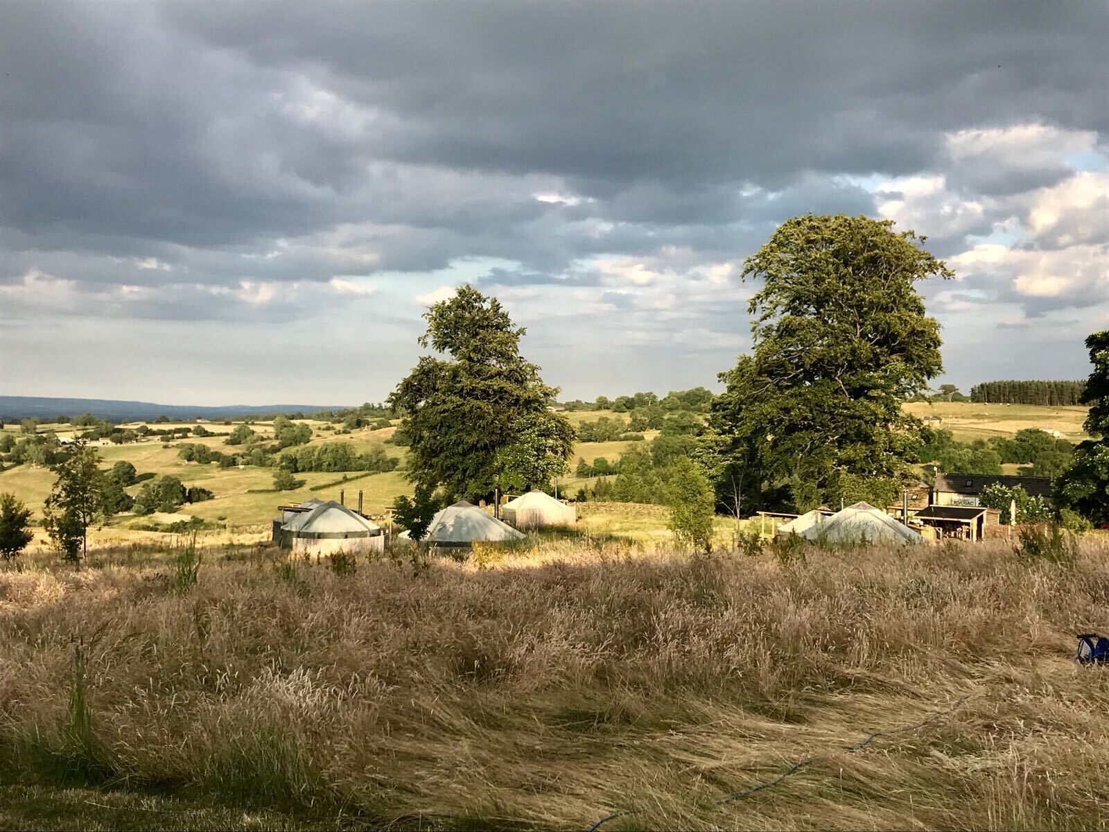 A rural landscape with yurts and a few trees.