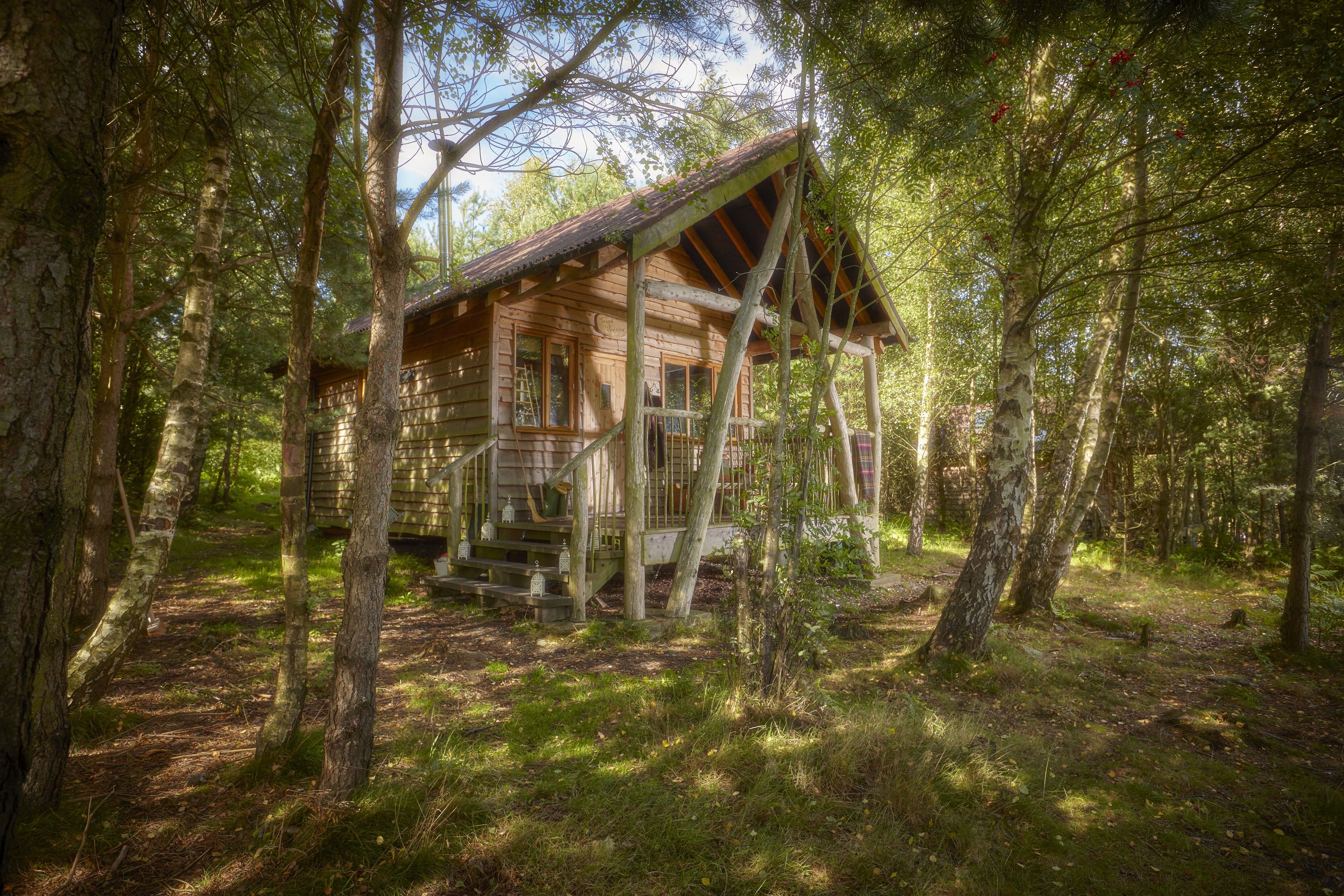 Une cabane en bois entourée d’arbres, au cœur d’une forêt.