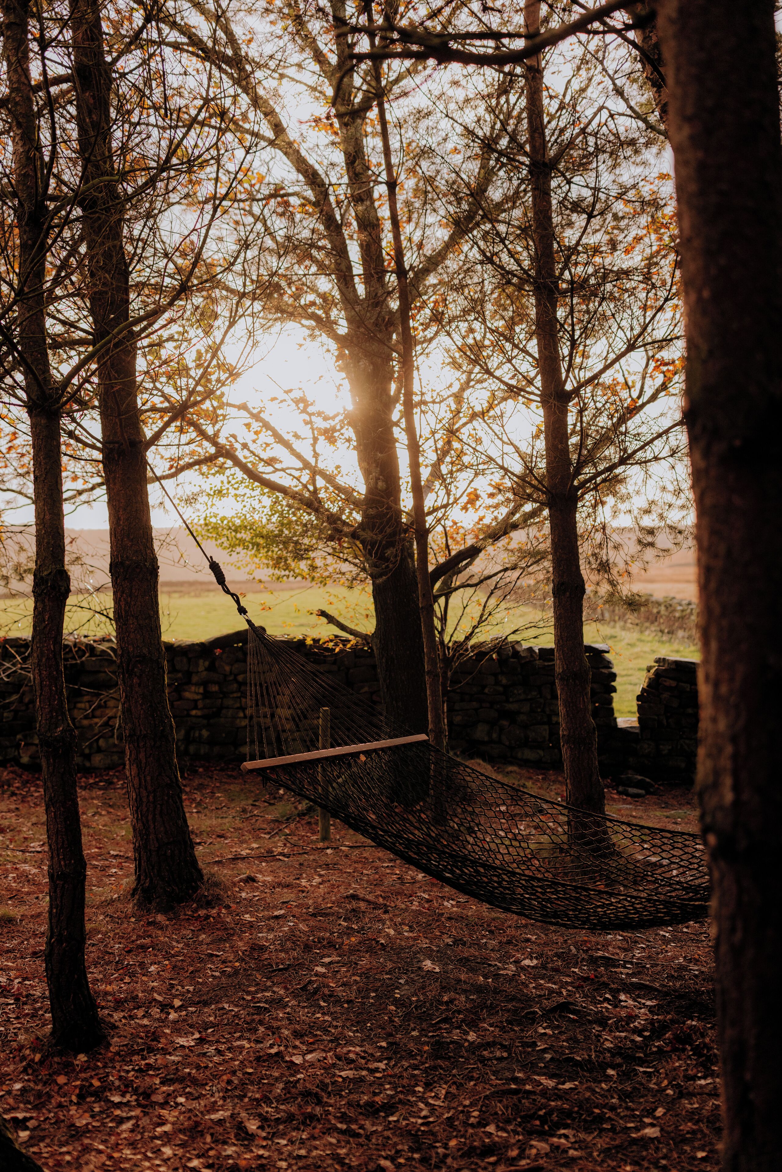 A hammock between trees in a wooded area with a stone wall in the background.