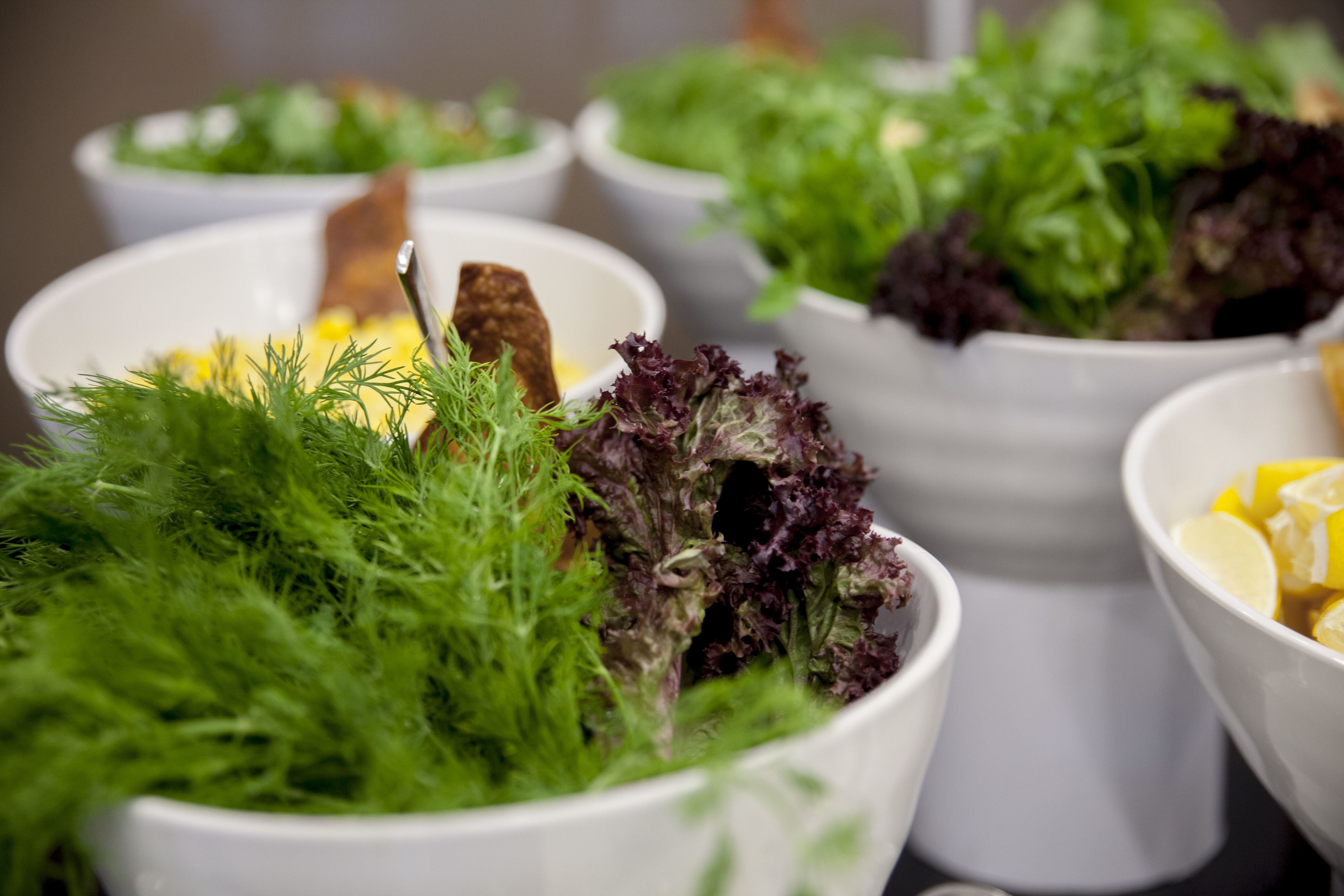 Variedad de ensaladas en cuencos, con hojas verdes y vegetales frescos.