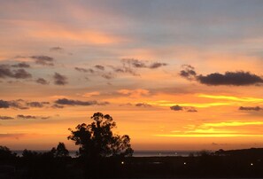Un atardecer sobre un paisaje costero con siluetas de árboles y luces distantes.