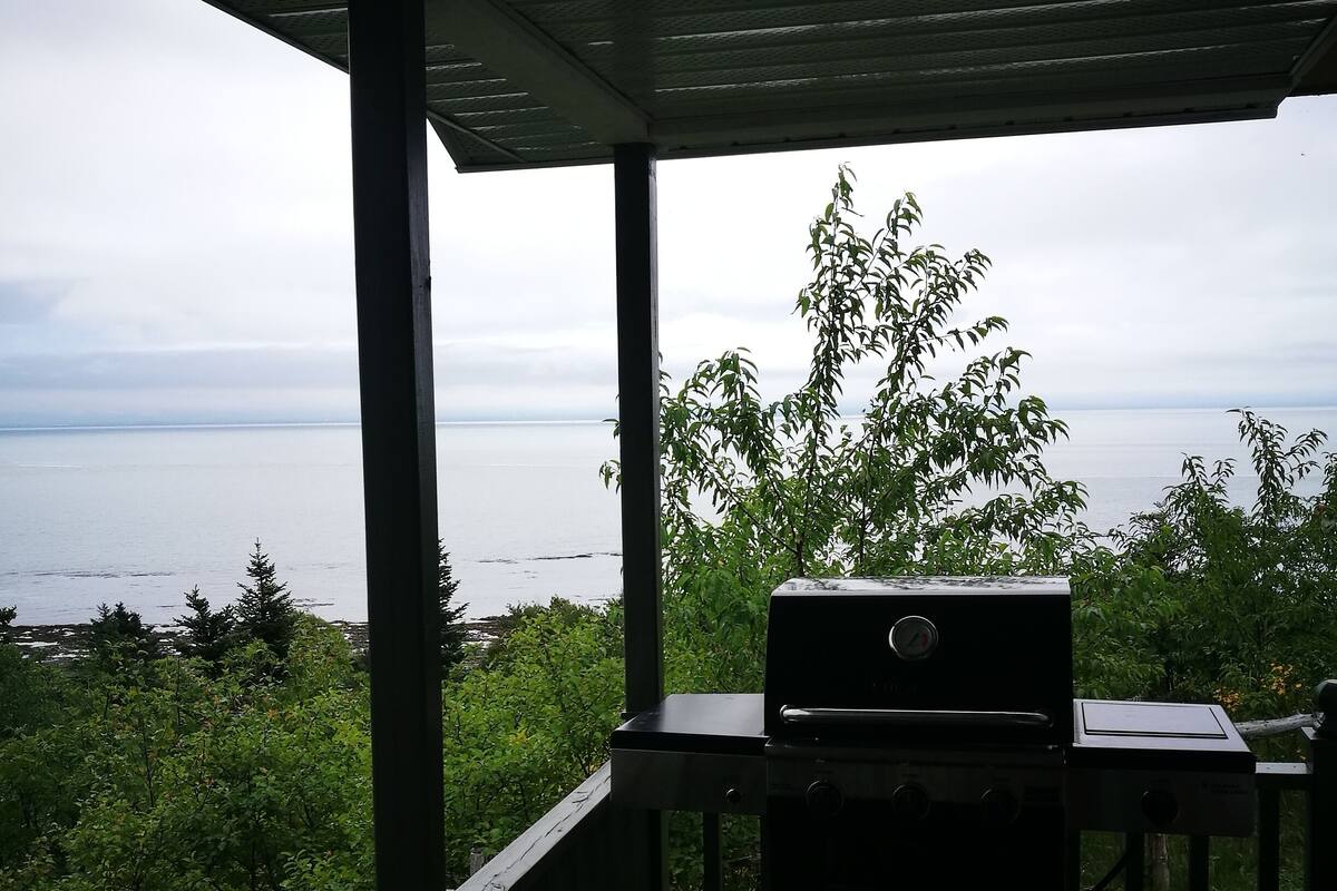 A covered outdoor area with a grill, wooden deck, and a view of the sea and greenery.