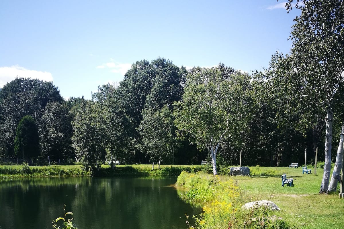 A serene lakeside park with a grassy area, benches, and trees.