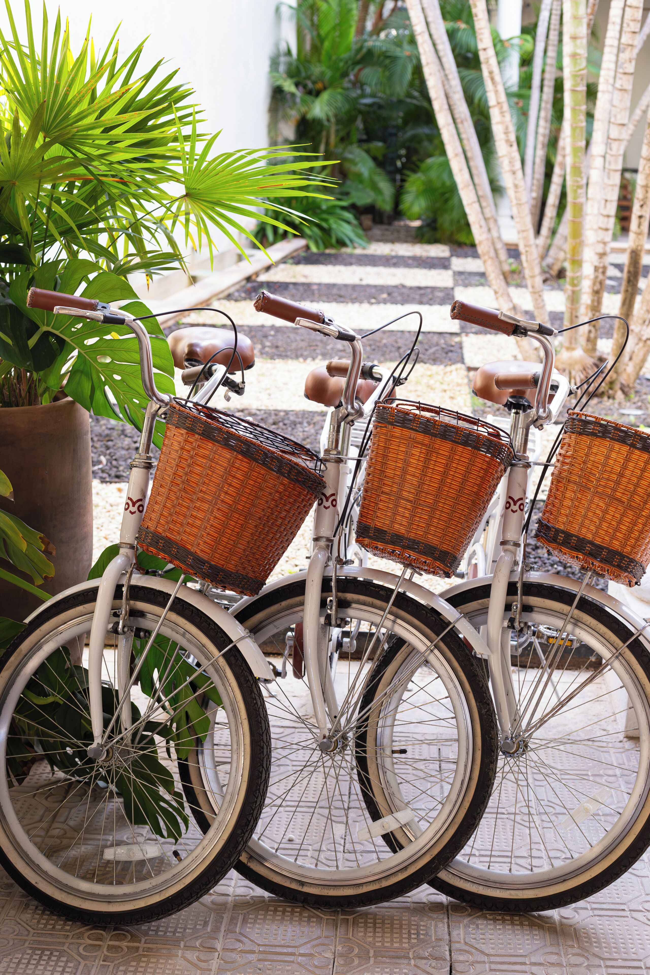 Photo - Decu Downtown