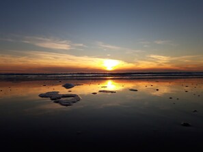 ビーチの近く、白砂、ビーチ シャトルサービス、5 か所のビーチバー