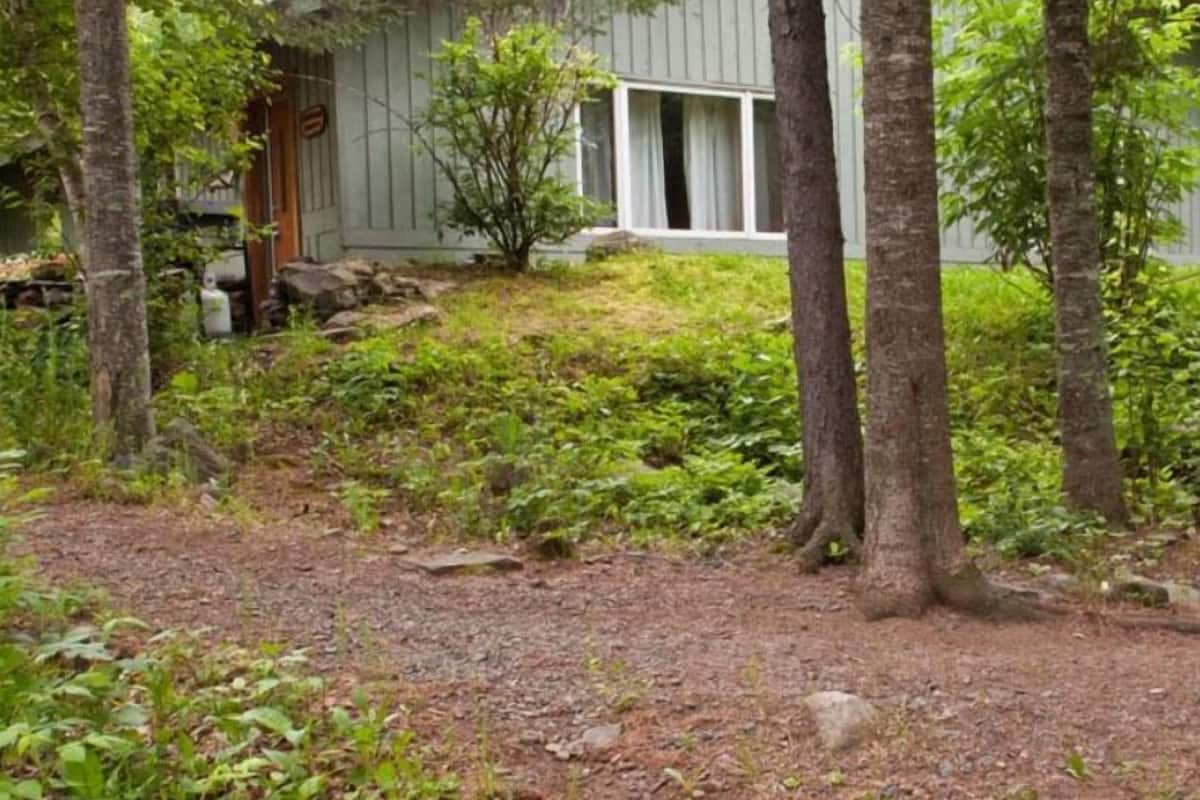 A rustic cabin with a wooden exterior, surrounded by dense greenery and trees.