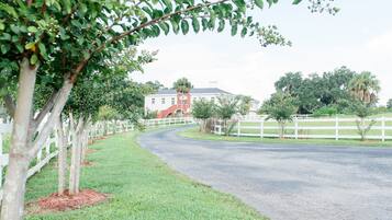 Pemandangan dari properti