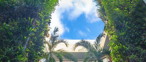 Un edificio moderno con un atrium central rodeado de exuberante vegetación y palmeras.