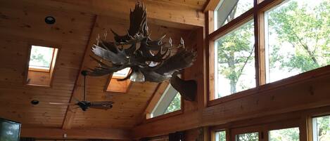 Smart TV, fireplace, video games, DVD player