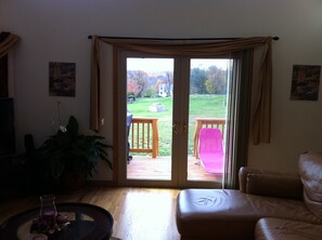 Smart TV, fireplace, video games, DVD player