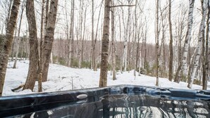 Ein mit Schnee bedeckter Wald mit einem schwarzen Fahrzeug im Vordergrund.