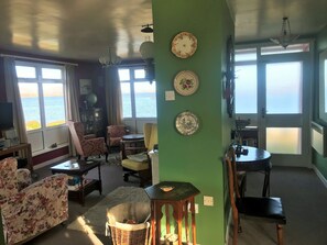 Télévision, cheminée, lecteur de DVD, livres