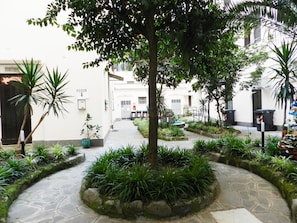 Pátio com uma árvore central, rodeado por diversas plantas e um caminho de pedra.