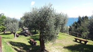 An outdoor area with olive trees, picnic benches, and a view of the sea. - Stunning three-room lake view in a residence with three swimming pools and 36,000 m2 of greenery (Manerba del Garda)