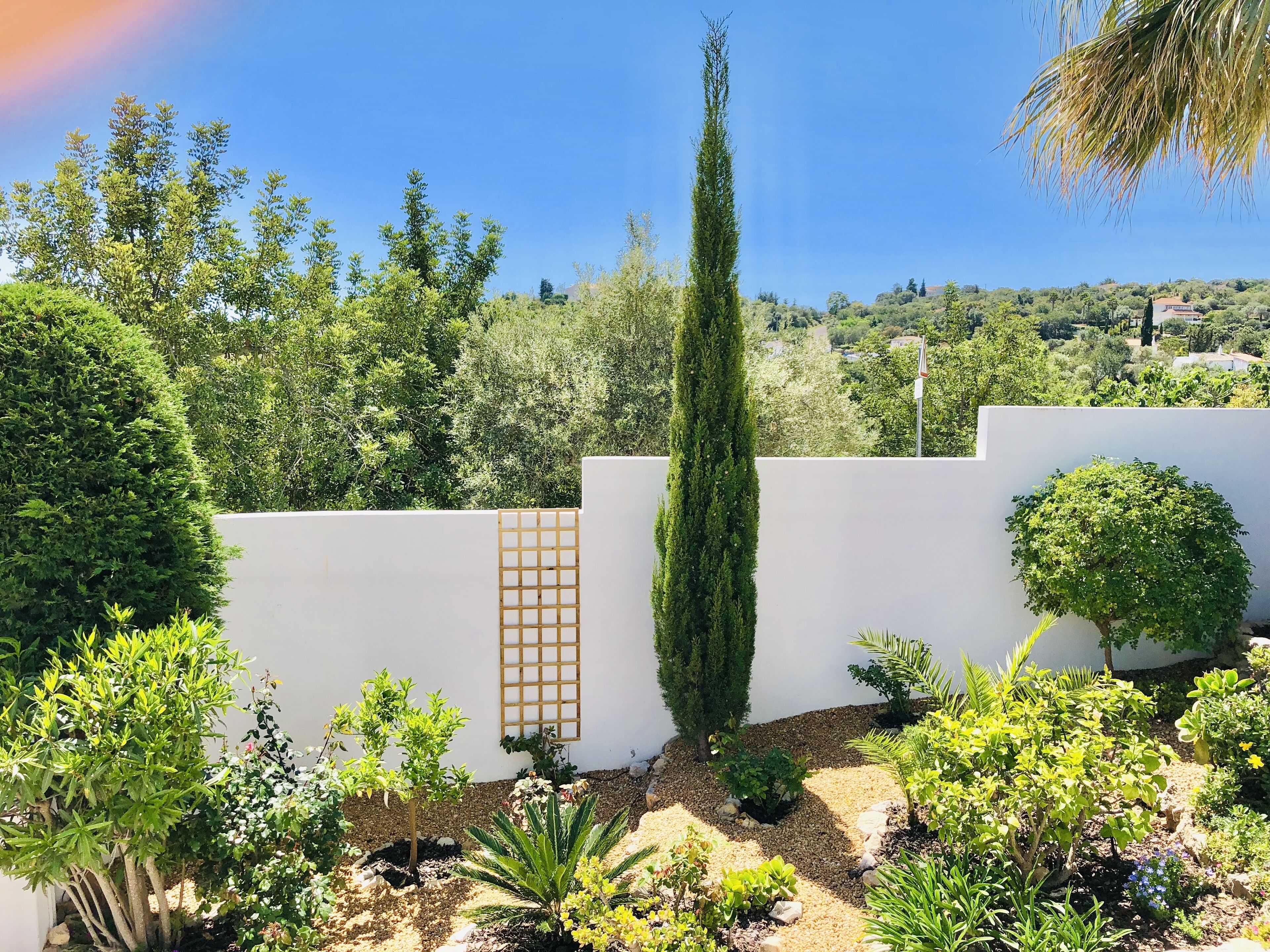 A garden with various plants and a white wall with a grid pattern.