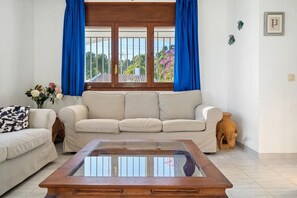 TV, fireplace, DVD player, books