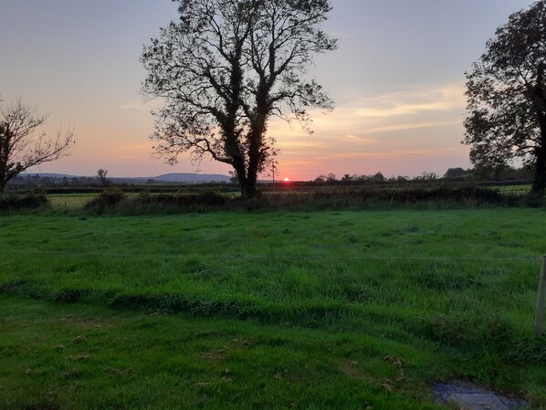 A grassy field with a large tree and a fence in the foreground. - Old Style Traditional Irish Farmhouse with mod-cons- WIFI included as standard (Limerick)