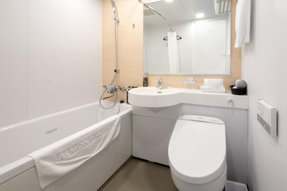 combined shower/bathtub, free toiletries, hair dryer, slippers