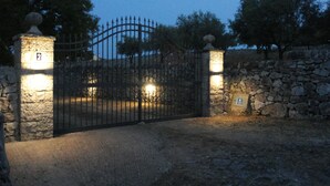Immagine non classificata, 3 di 31, pulsante