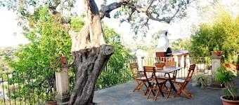 "Terraza en el parque arqueológico"