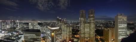 Keio Plaza Hotel Tokyo Premier Grand - Image 3