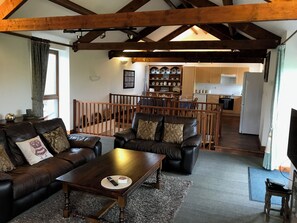 Smart TV, fireplace, DVD player, books