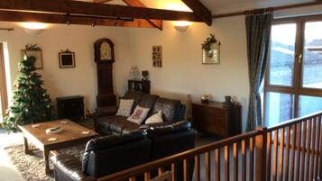 Smart TV, fireplace, DVD player, books