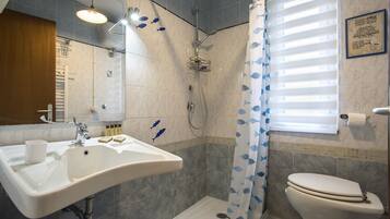 Shower, hair dryer, bidet, towels