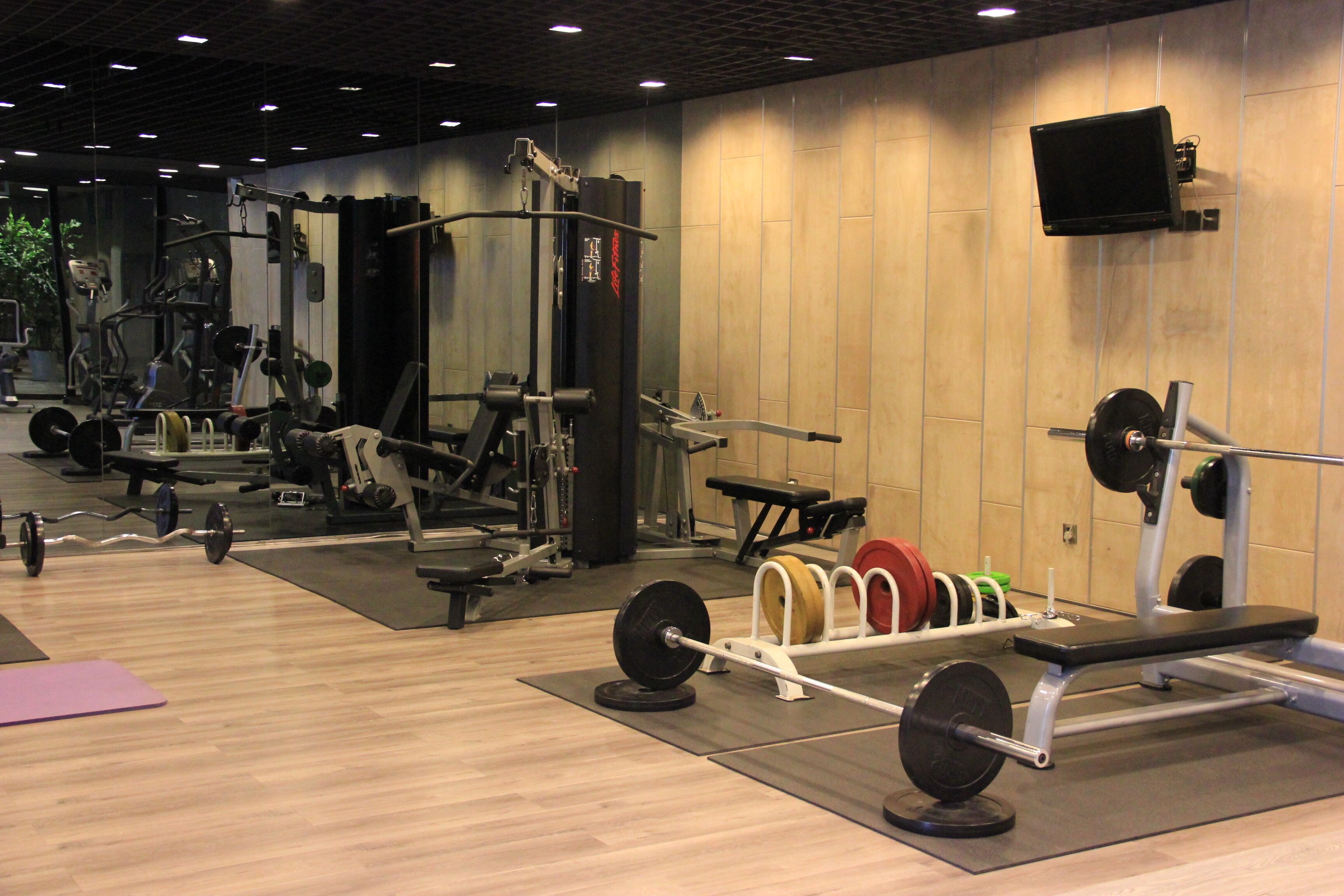 Ett gym med olika typer av träningsutrustning, inklusive styrketräningsmaskiner och lösa vikter.