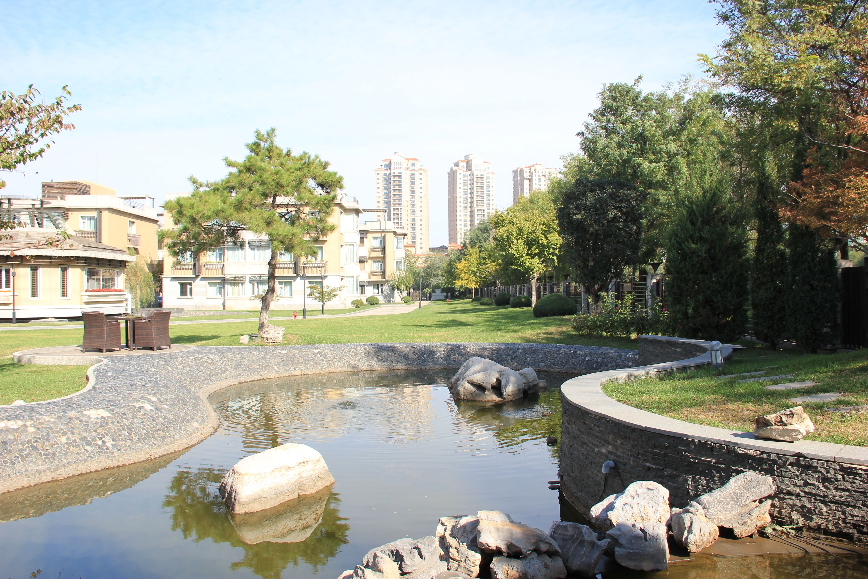 Un área ajardinada con un estanque, rocas y un camino pavimentado.