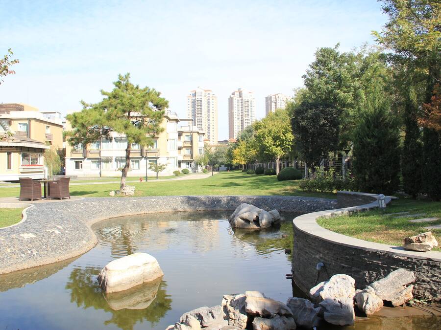 Un área ajardinada con un estanque, rocas y un camino pavimentado.