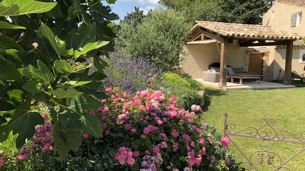 A garden with pink flowers, a wooden pergola, and a stone building with a tiled roof. - Le Mas de Baptiste near the town center with heated, sheltered swimming pool (Saint-Rémy-De-Provence)