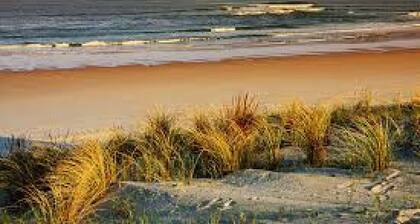 âVilla Oceane & Spa âPiscine chauffĂ©e â clos et aucun vis Ă vis â 5min plages â