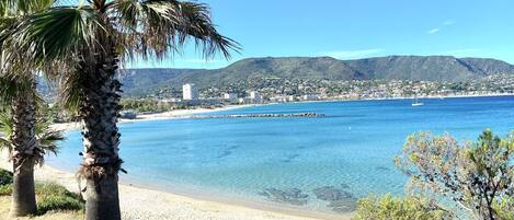 Playa en los alrededores y camastros 