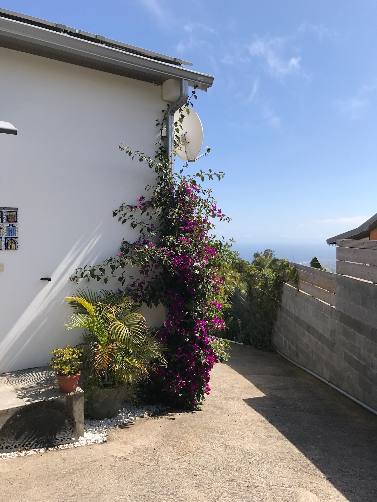 En bygning med parabol, betonmur og have med buganvillea og andre planter.