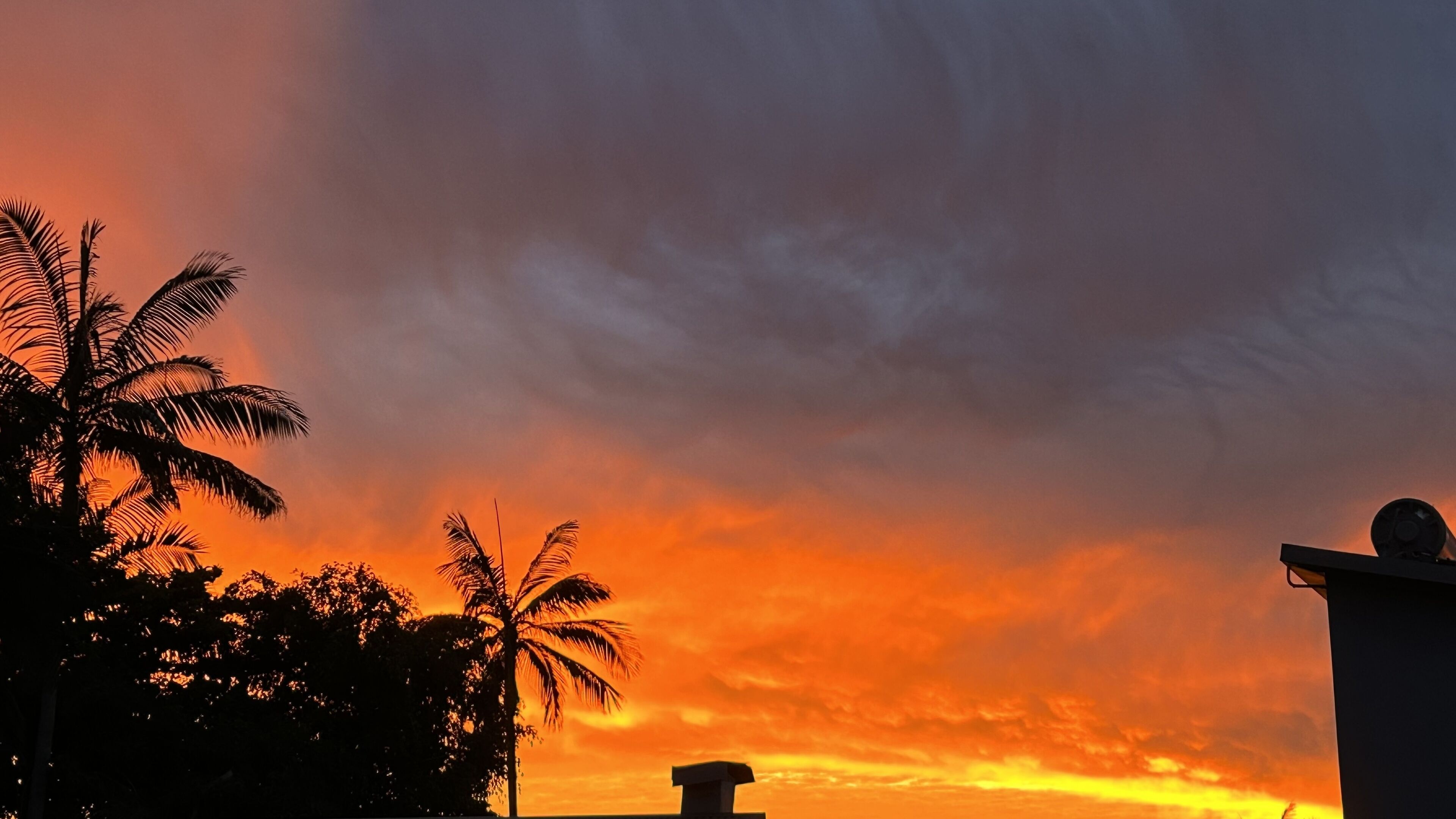 A sunset with palm trees silhouetted against a vibrant sky, featuring a building with a flat roof and a satellite dish.