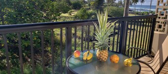 Prince Kuhio 335 OCEANVIEW STUDIO