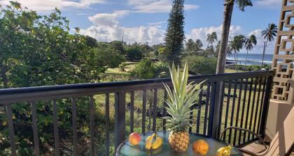 Prince Kuhio 335 OCEANVIEW STUDIO